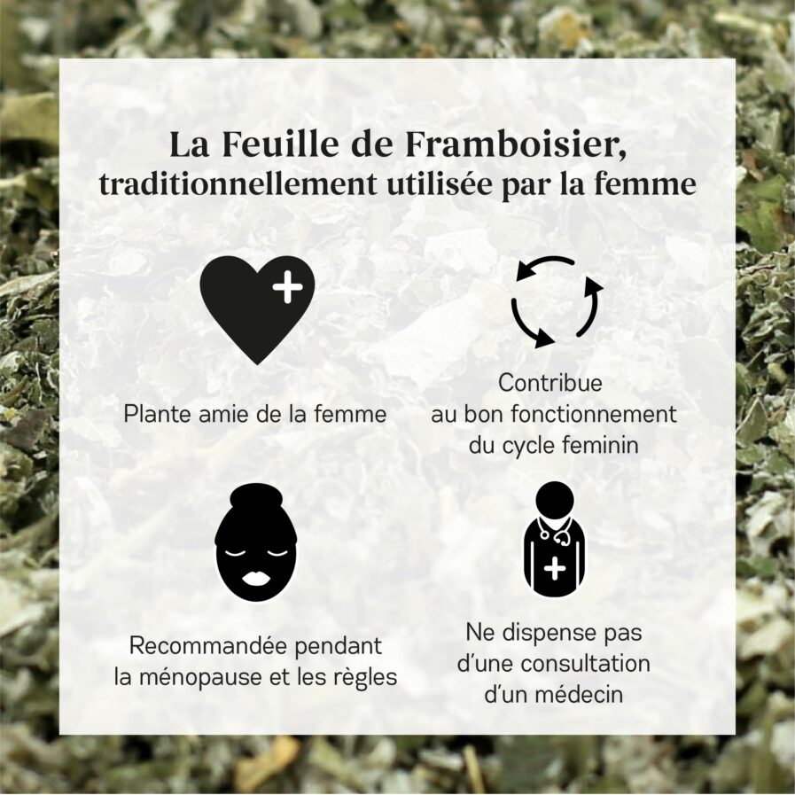 Bienfaits Feuilles de Framboisier bio