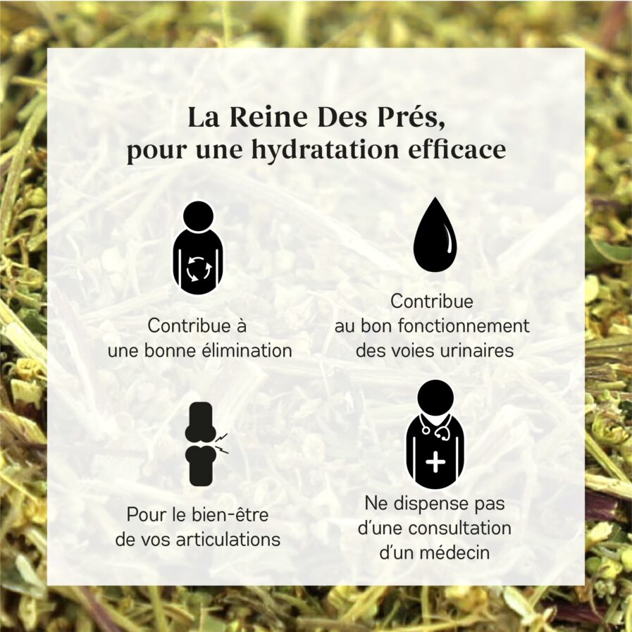 bienfaits de la Reine des Prés Bio