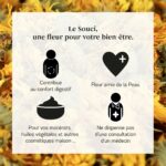 Bienfaits Fleurs de Soucis Bio