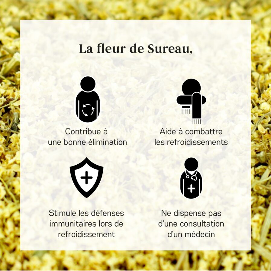 Bienfaits Fleurs de Sureau Bio