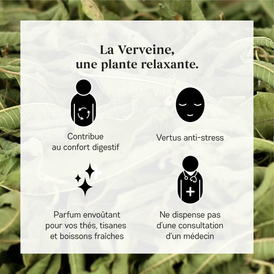 Bienfaits de la Verveine Bio