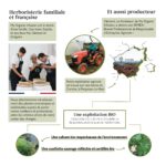 Réassurance de l'entreprise