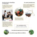 Réassurance Entreprise My Organic Infusion