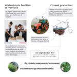 Réassurance entreprise My Organic Infusion