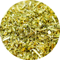 zoom sur l'achillee millefeuille en sommité fleurie coupée