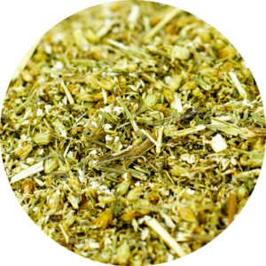 zoom sur l'achillee millefeuille en sommité fleurie coupée