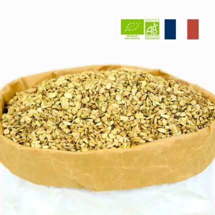 Angélique bio graine, en semence entière dans son sac d'herboriste