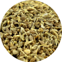 zoom sur l'anis vert en semence entière