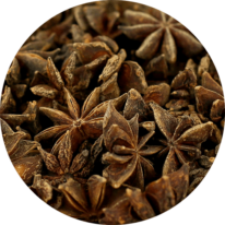 zoom sur les étoiles de badiane entière