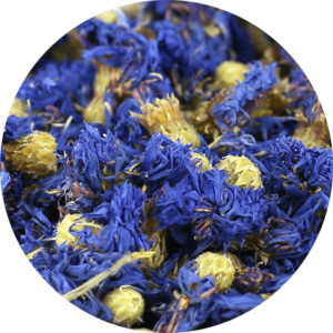 Zoom sur les bouton de fleurs de Bleuet Bio