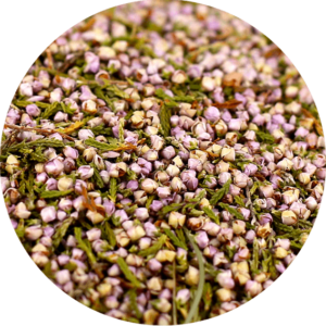 zoom sur la bruyere en fleur entière