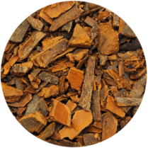 zoom sur la cannelle en écorce coupée