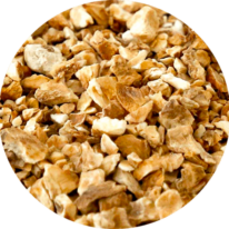 zoom sur les racines de pissenlit coupées