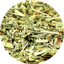 Zoom sur la citronnelle en feuille coupée