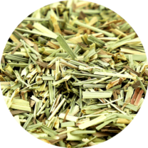 Zoom sur la citronnelle en feuille coupée