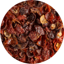 Zoom sur le cynorrhodon coupée