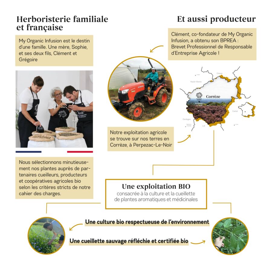 histoire et reassurance de marque pour l'infusion digestion en vrac