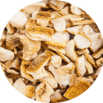 Zoom sur l'ecorce de citron coupée