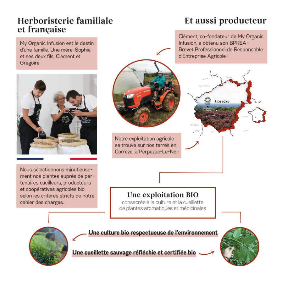 histoire et reassurance de marque pour l'infusion energie en vrac