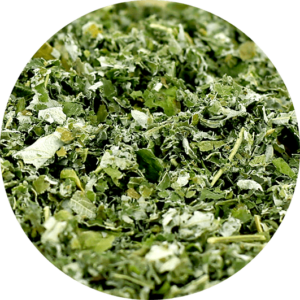 Zoom sur les feuilles de framboisier coupées