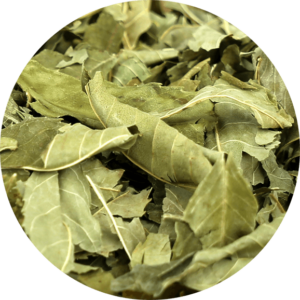 zoom sur les feuilles de frene bio entière