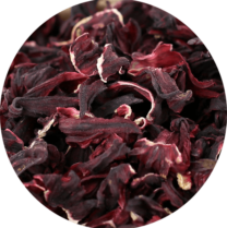 zoom sur l'hibiscus en fleur entière