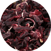 zoom sur l'hibiscus en fleur entière