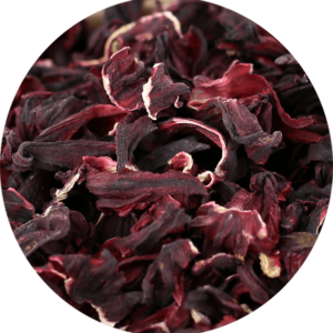 zoom sur l'hibiscus en fleur entière