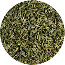 zoom sur l'hysope en partie aerienne coupé