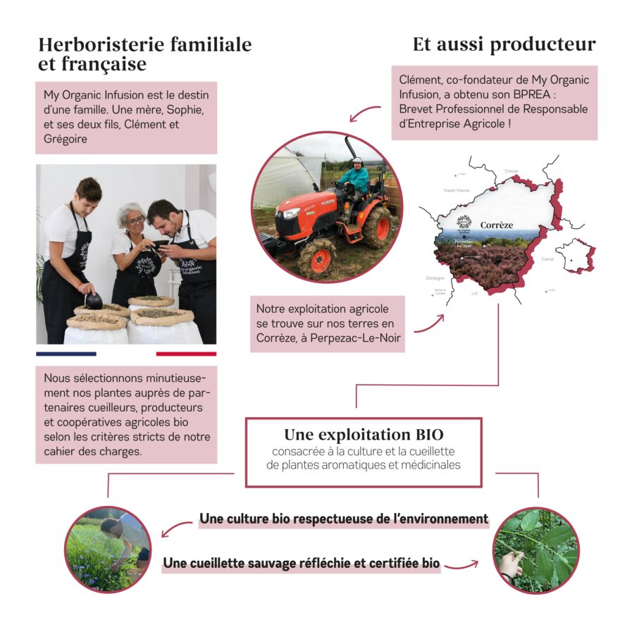 histoiire et reassurance de marque pour l'infusion joli teint en vrac