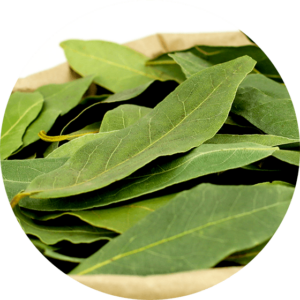 Zoom sur les feuilles de Laurier bio dans un sac d'herboriste