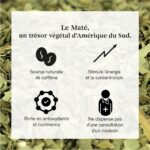 Bienfaits du Maté Bio
