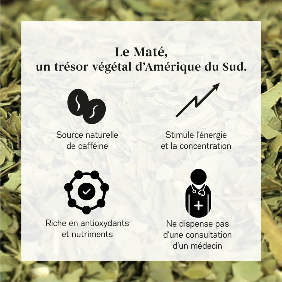 Bienfaits du Maté Bio