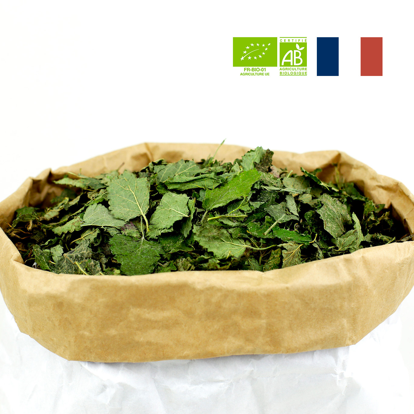 Mélisse-France mélisse bio en feuilles entières