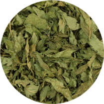 zoom sur la menthe poivrée en feuillle entière