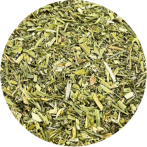 zoom sur la pensee sauvage