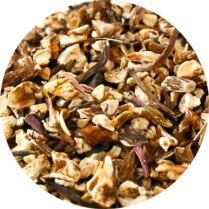 zoom sur les racines de pissenlit coupée