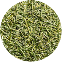 zomm sur le romarin en feuille entière