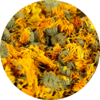 zoom sur le soucis en bouton entier