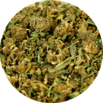 Zoom sur notre CBD chanvre français