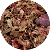 Zoom sur les feuilles de vigne rouge séchées
