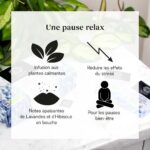 Bienfait de l'infusion Relaxation