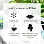 Bienfait de l'infusion Respiratoire.