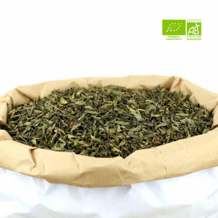 Stevia-Origine