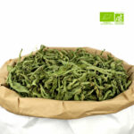 Découvrez notre Verveine bio en grande feuille entière séchée de haute qualité pour créer votre infusion de Verveine bio maison