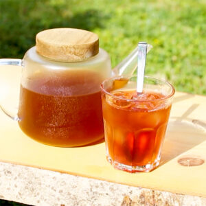 Infusion Énergie Glacée