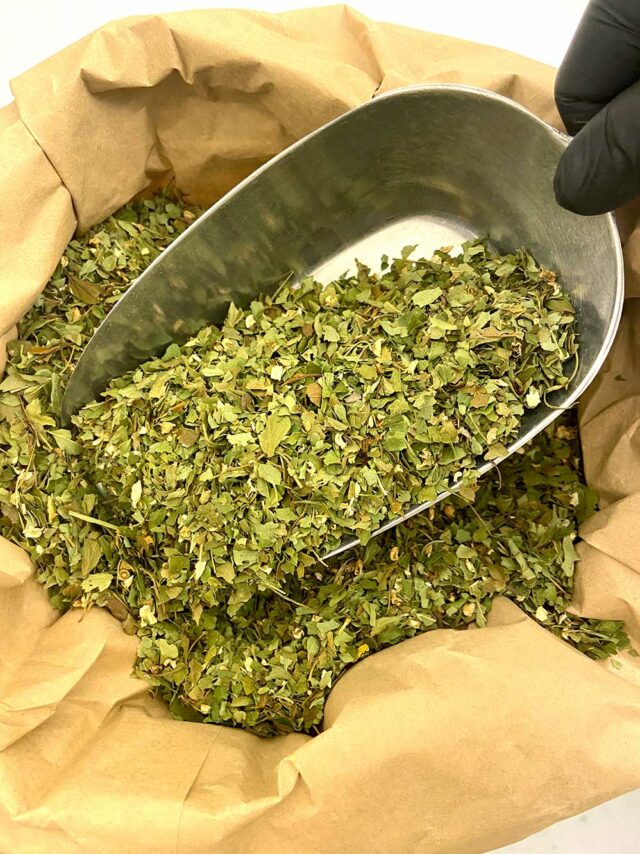 Les bienfaits de l'aubépine