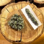 Substitut de Tabac Naturel - Fresh