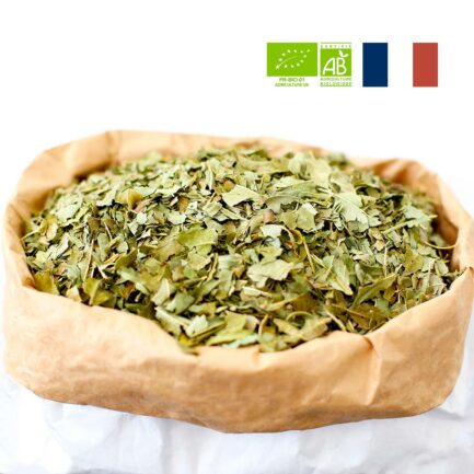 Feuille de Frêne coupées origine france