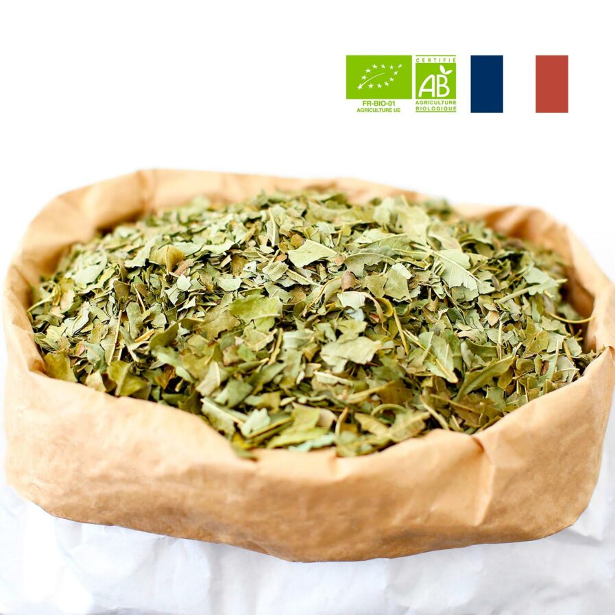 Feuille de Frêne coupées origine france